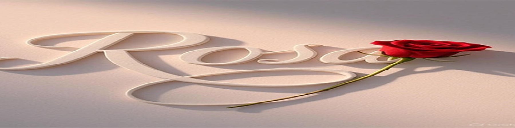 خرید محصولات از Rosa Gallery