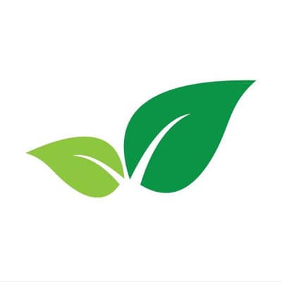 برگ و درخت (Leaf and Tree)