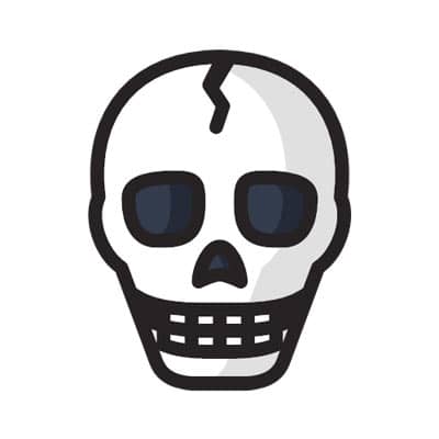 اسکلت و جمجمه (skeleton and skull)