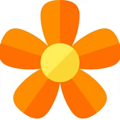 گل (Flower)