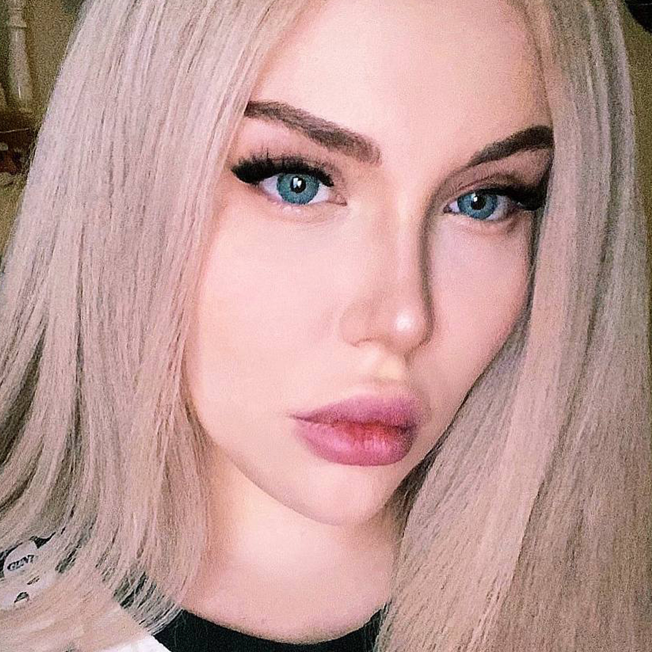 شای آرت