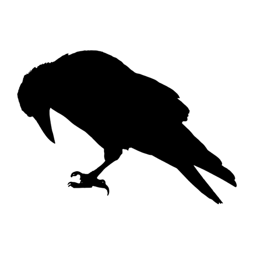 dream of another life